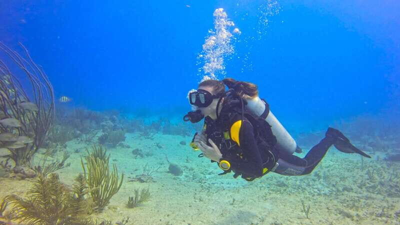 Playa del Carmen: SSI Open Water Course - What You Can Expect from This Course