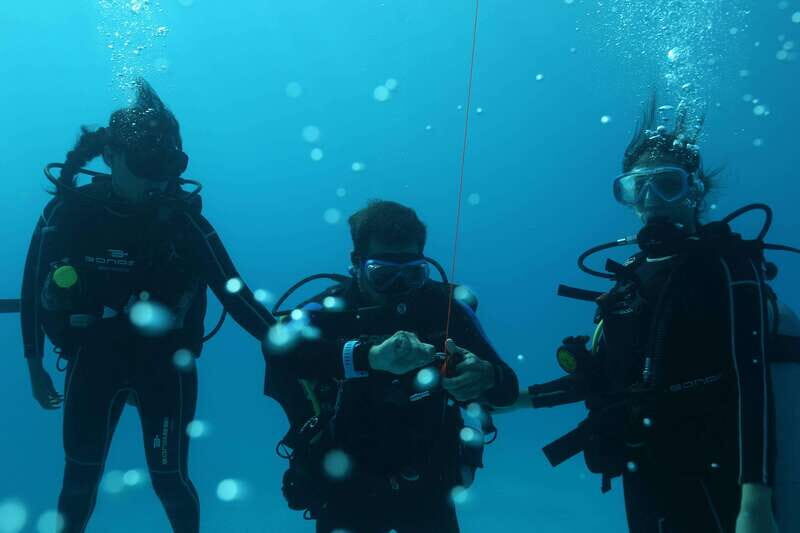 Playa del Carmen: Try Scuba Diving - No Experience Required - Authentic Underwater Encounters