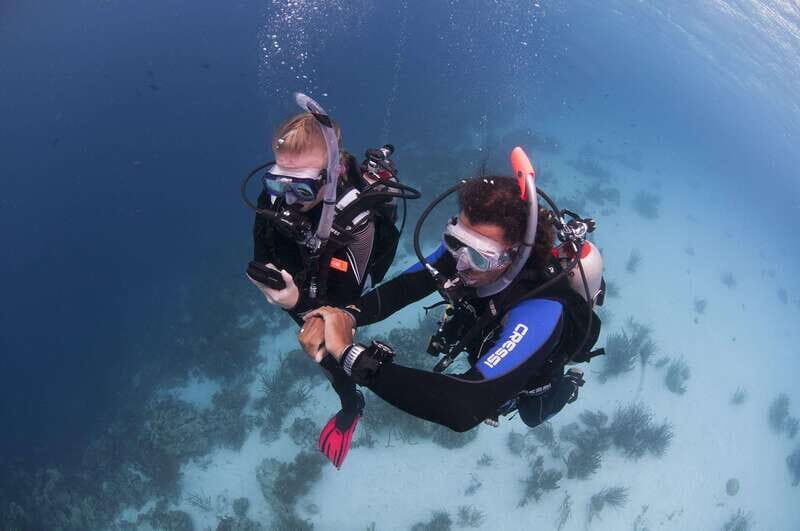 Playa del Carmen: Ultimate PADI Open Water Diver Experience - Final Thoughts
