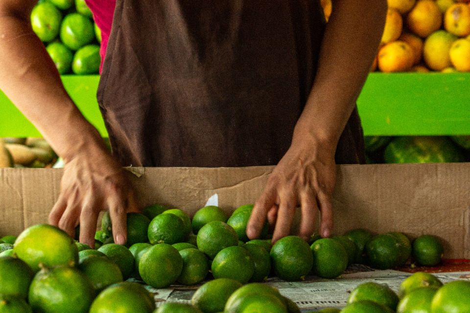 Playa Del Carmen: Vegan Food Walking Tour - Meeting Point and Directions