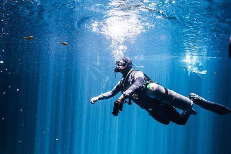 Playa del Carmen: Wreck Dive Mama Viña - The Itinerary in Detail