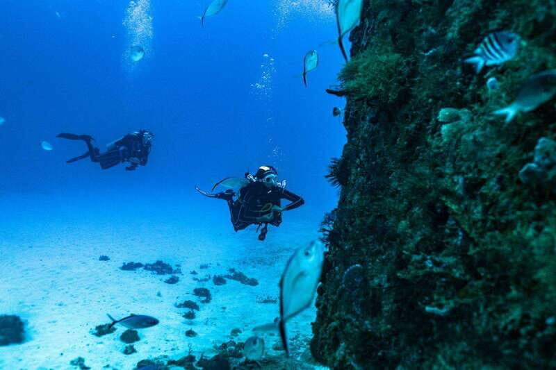 Playa del Carmen: Wreck Dive Mama Viña - Why Choose This Tour?