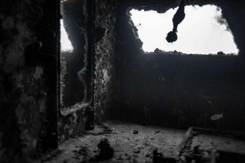 Playa del Carmen: Wreck Dive Mama Viña - FAQ