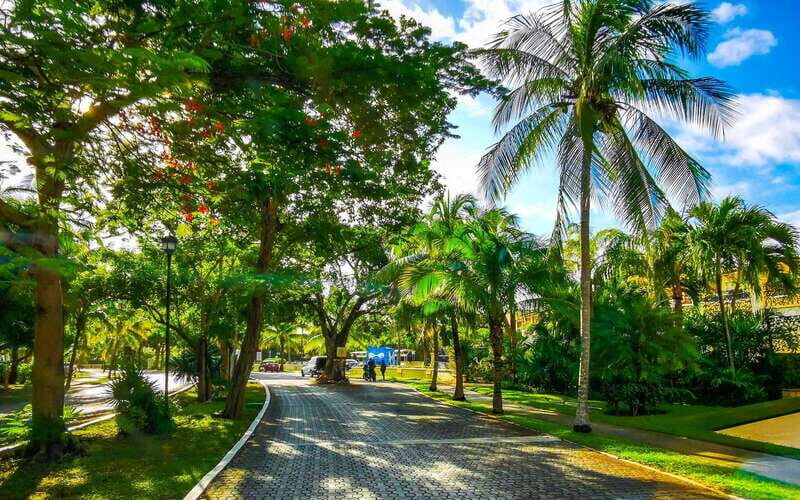 Playa Del Carmens Historical Treasures: A Walking Tour - Final Thoughts