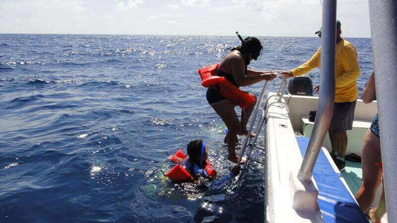 Playa del Carmen:Whale shark Experience in the Caribbean Sea - Who This Tour Is Best For