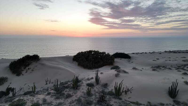 Playa el Cardonal: tour and sandboarding activity in the dunes of Sahuimaro - Key Points
