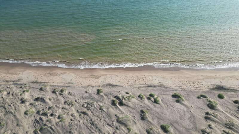 Playa el Cardonal: tour and sandboarding activity in the dunes of Sahuimaro - Final Thoughts