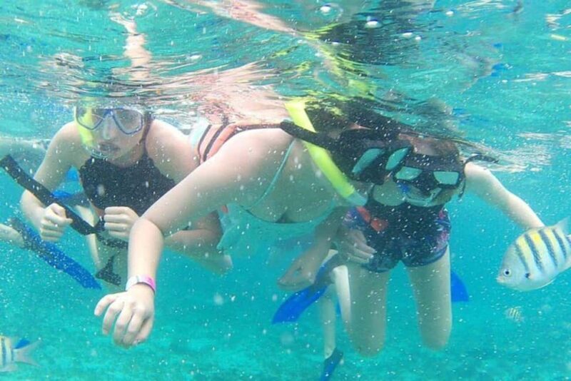 Playa Mujeres: Private Yacht Rental - 4hr SR55H4 #GMBSR55FUN - The Sum Up