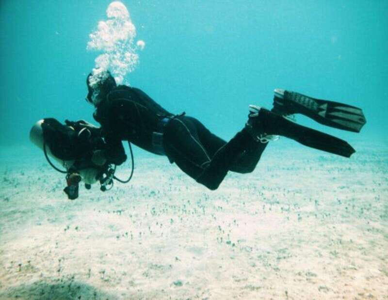 Playa: PADI Dive Master - Why Choose the PADI Dive Master Course in Quintana Roo?