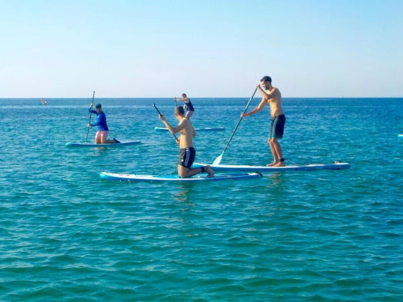 Playa Palma: Stand-up Paddleboard Rental - Authentic Experience and Reviews