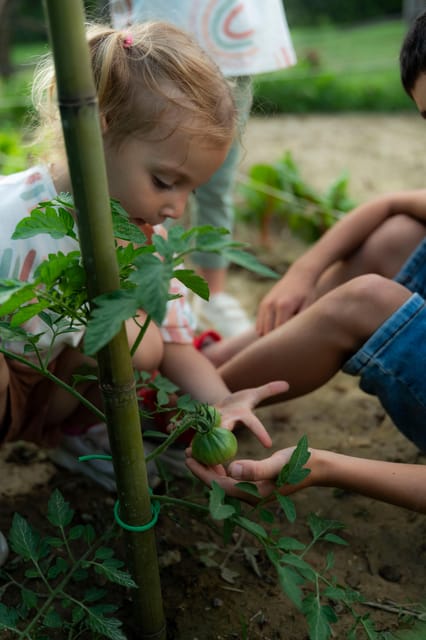 Playful Activities With Animals - Frequently Asked Questions