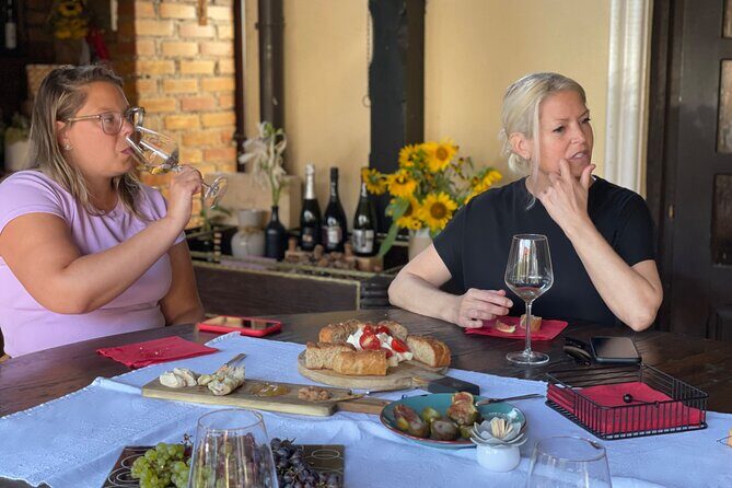 Plesivica countryside Wine Tasting - A Practical Look at the Plesivica Countryside Wine Tasting Tour