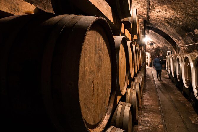 Plesivica countryside Wine Tasting - Who Would Enjoy This Tour?