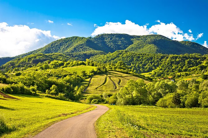 Plesivica Countryside Wine Tasting - Booking Information