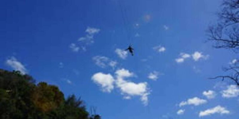 Plettenberg: 2H Zipline Tour - Good To Know