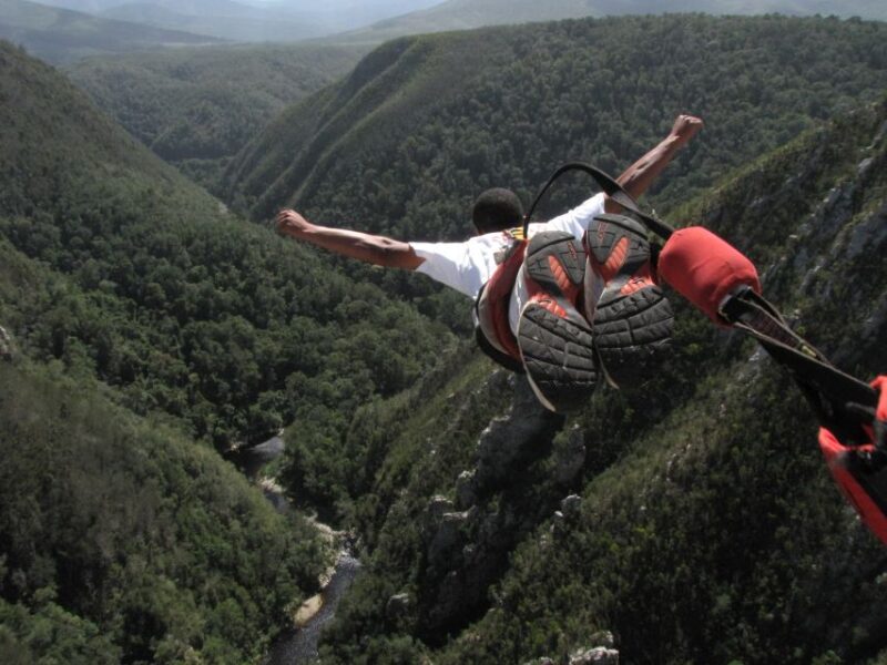 Plettenberg Bay: Bungee Jumping With Zipline and Sky Walk - Good To Know
