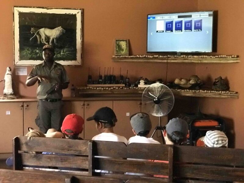 Plettenberg Bay: EcoKidz Family Challenge Wildlife Tour - Good To Know