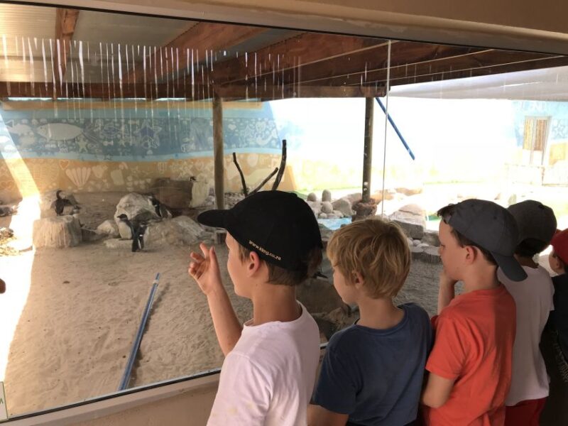 Plettenberg Bay: EcoKidz Family Challenge Wildlife Tour - Itinerary and Activities