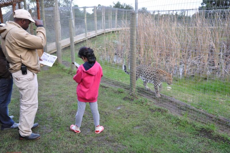 Plettenberg Bay: EcoKidz Family Challenge Wildlife Tour - Educational Experience