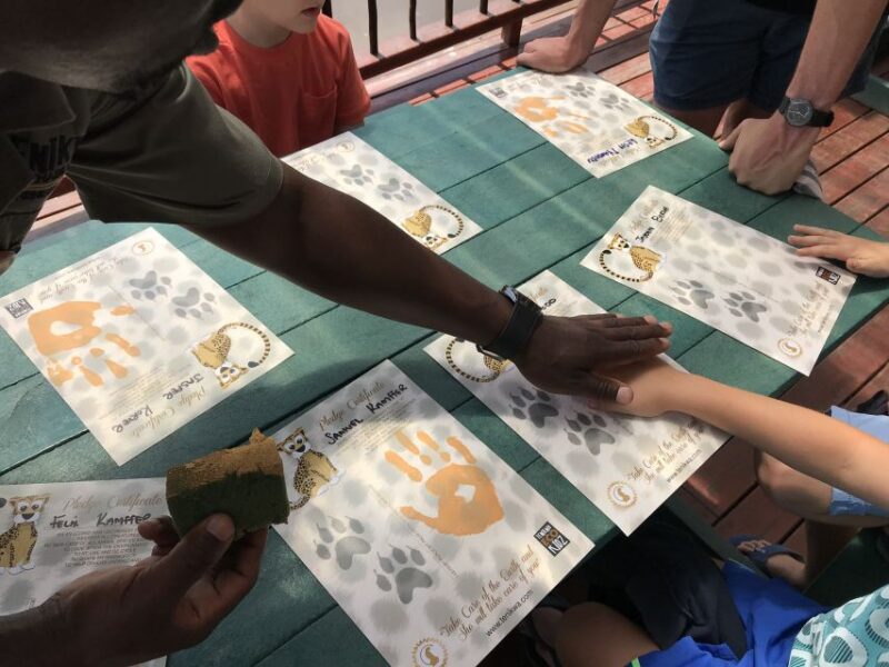 Plettenberg Bay: EcoKidz Family Challenge Wildlife Tour - Customer Feedback and Ratings