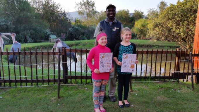 Plettenberg Bay: EcoKidz Family Challenge Wildlife Tour - Encountering Majestic Wild Cats