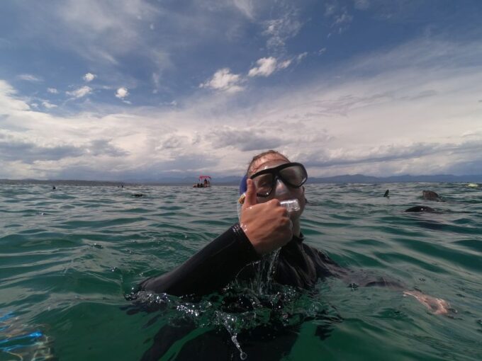 Plettenberg Bay: Seal Swimming Experience - Highlights of the Tour