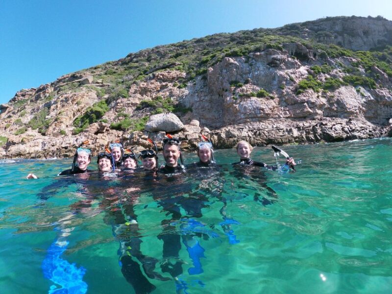 Plettenberg Bay: Swim With Seals - Good To Know