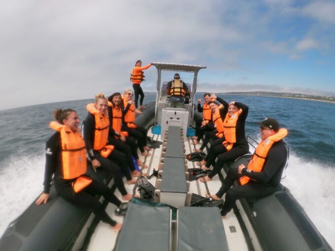 Plettenberg Bay: Swim With Seals - Included Photos and Videos