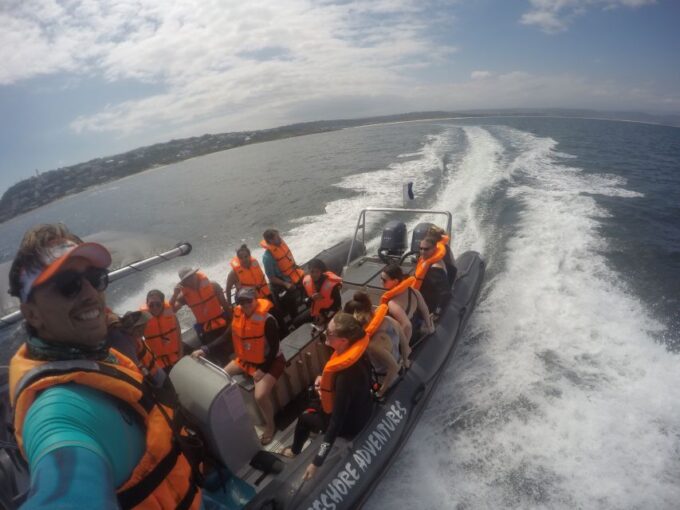 Plettenberg Bay: Swim With Seals - Customer Feedback and Ratings