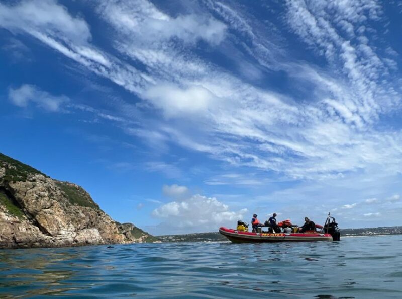 Plettenberg Bay: Swim With the Seals - Booking and Meeting Information