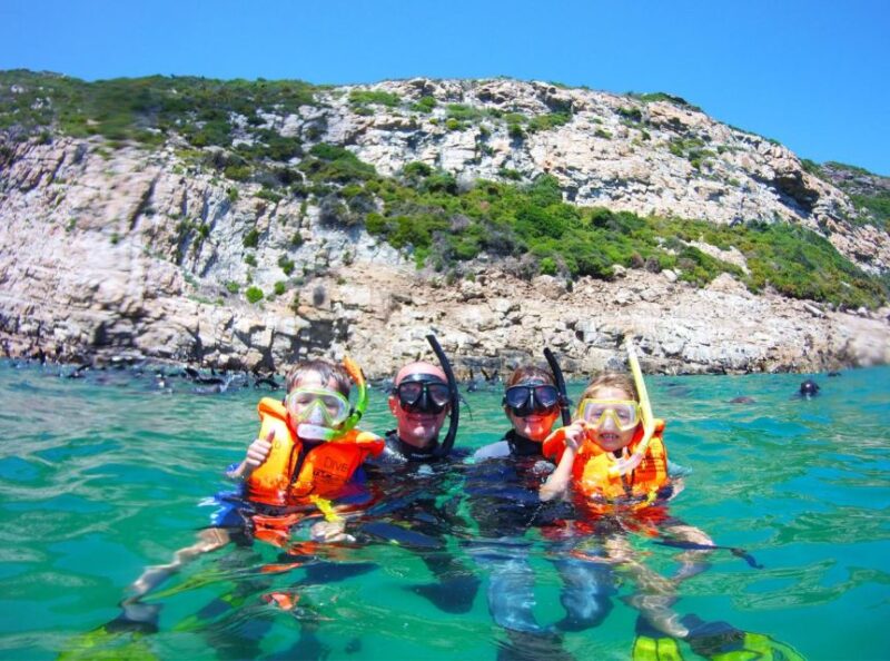 Plettenberg Bay: Swim With the Seals - Customer Feedback