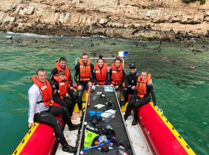 Plettenberg Bay: Swim With the Seals - Special Offers