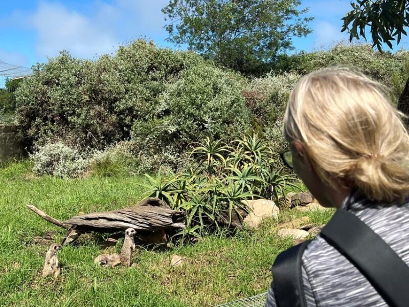 Plettenberg Bay: Wild Cat and Wildlife Guided Tour - FAQ