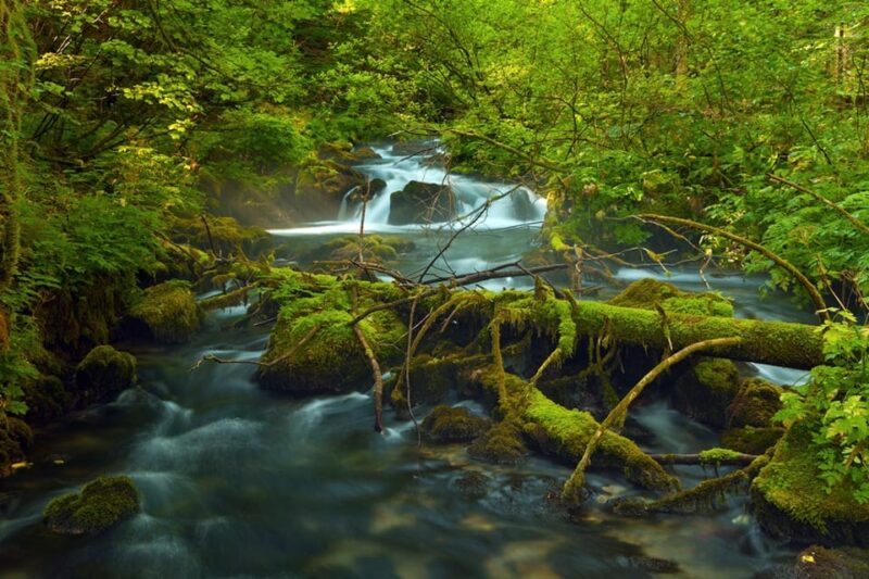 Plitvice Lakes Day Tour From Zagreb - Inclusions