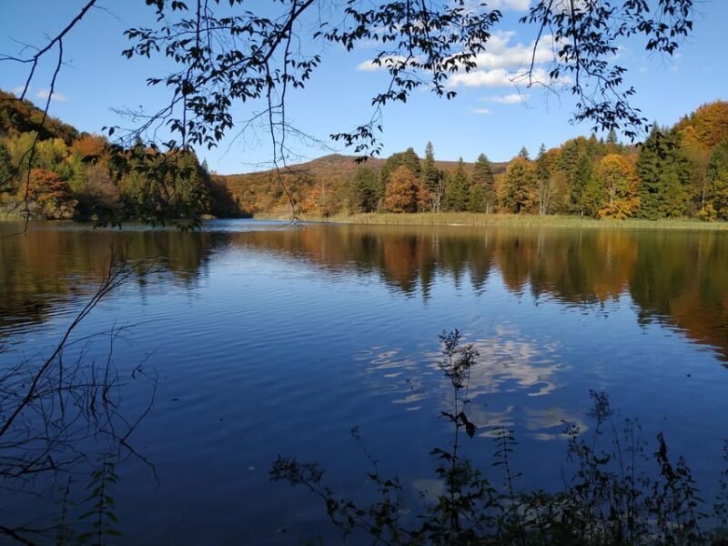 Plitvice Lakes: Guided Walking Tour with Boat Ride - Why Choose This Tour?