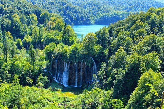 Plitvice Lakes National Park Tour from Zadar - An In-depth Look at the Tour Experience