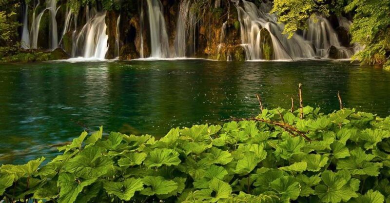 Plitvice Lakes Private Guided Tour - Discovering the Magic of Plitvice Lakes