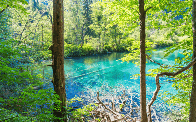Plitvice National Park Lakes Private Tour From Split - Meeting Point Details