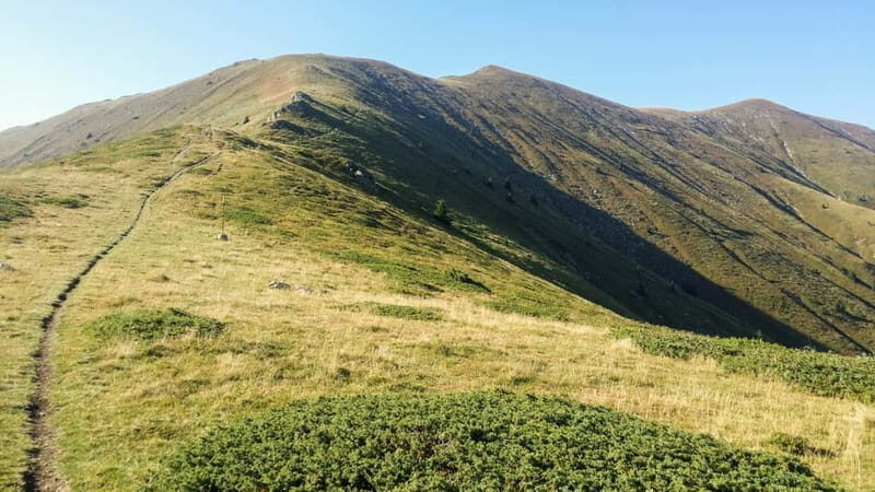 Plovdiv: Central Balkan National Park Guided Hike - The Sum Up