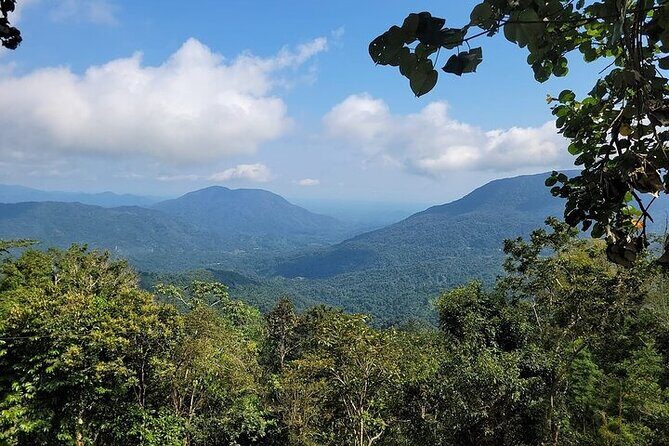 Pluma Hidalgo Coffee Experience - The Experience from Travelers’ Perspectives