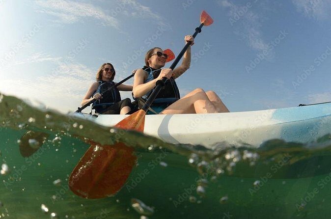 Plymouth Kayak Rental  Explore the Historic Waterfront - Analyzing the Value