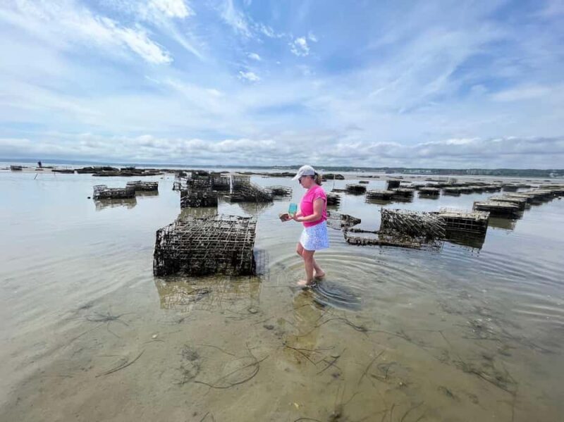 Plymouth: Oyster Farm Boat Tour with Tasting - Introduction