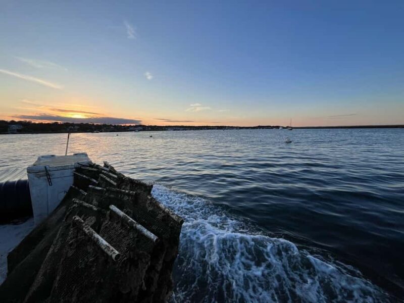 Plymouth: Oyster Farm Boat Tour with Tasting - Key Points