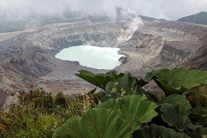 Poás Volcano, Coffee Plantation and La Paz Waterfall Gardens Tour - Schedule and Availability