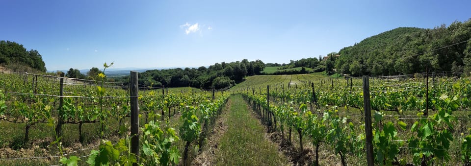 Podere Della Bruciata: Montepulciano Primal Cru Experience - Experience Overview