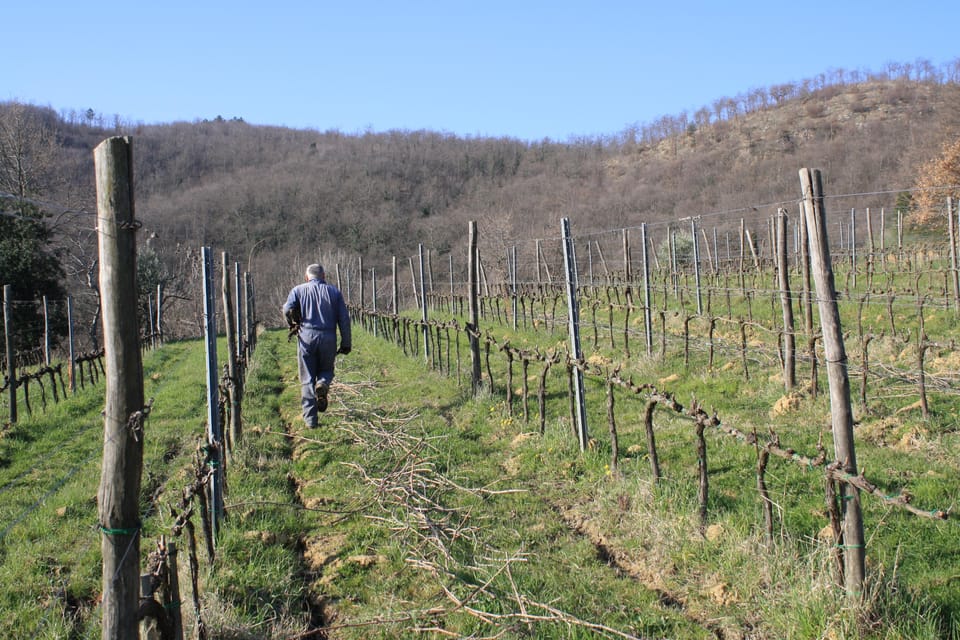 Podere Della Bruciata: Montepulciano Primal Cru Experience - Vineyard and Cellar Tour