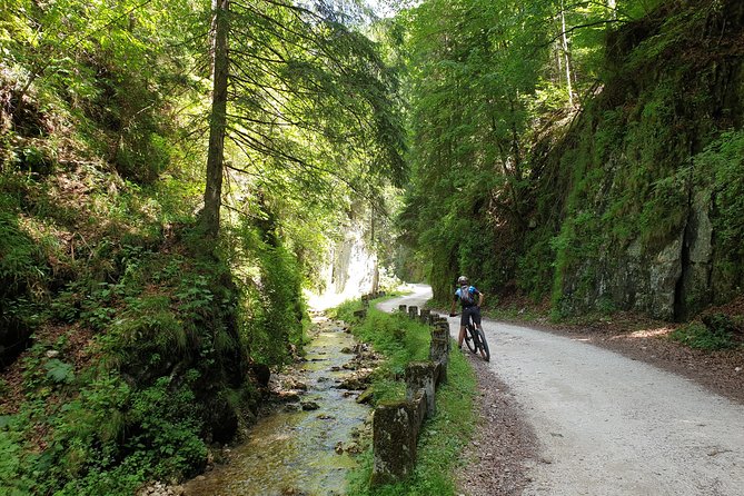 POIANA BRASOV and POSTAVARU CHALET Ebike Tour (Brasov) - Whats Included