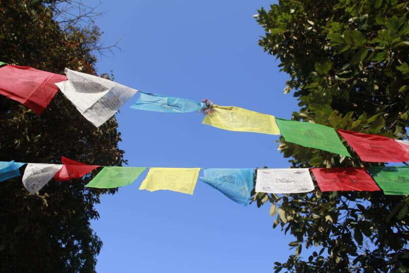 Pokhara: 3-Day Astam, Dhampus, and Australian Camp Trek - Final Thoughts: Is This Trek Right for You?