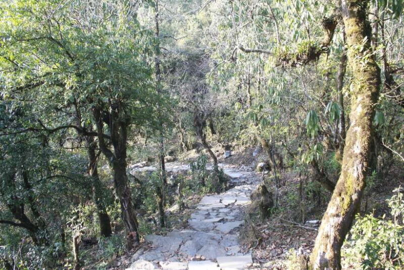 Pokhara: 3-Day Astam, Dhampus, and Australian Camp Trek - FAQs