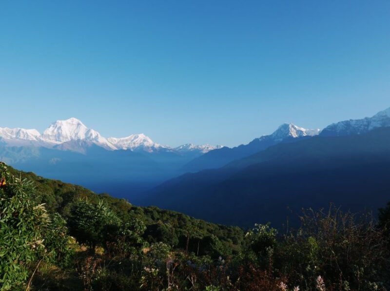 Pokhara: 3-Day Ghorepani and Poon Hill Trek - Day 2: Tikhedhunga to Ghorepani